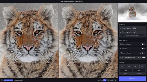 Topaz Creative Tools, Topaz Photo AI